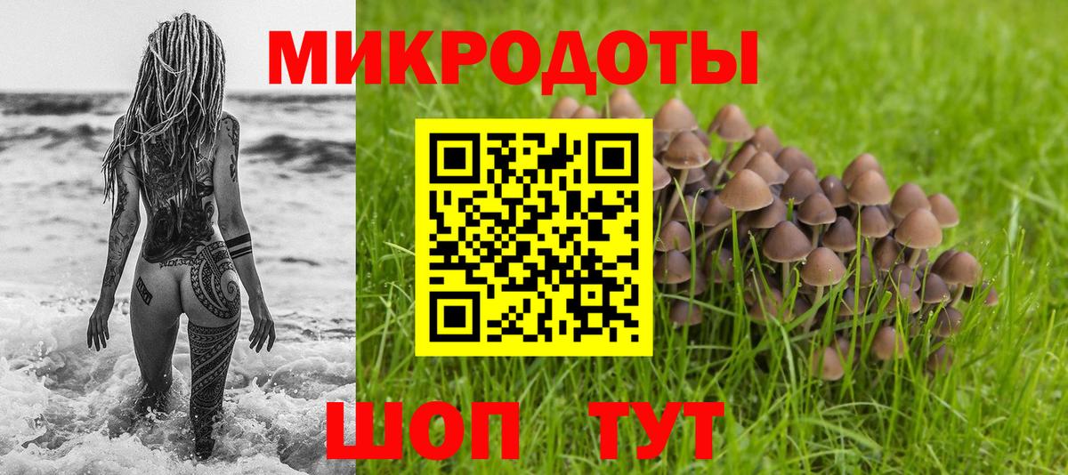 купить   Вход с VPN  Псилоцибиновые грибы мицелий  Губкинский  Галлюциногенные грибы GOLDEN TEACHER 