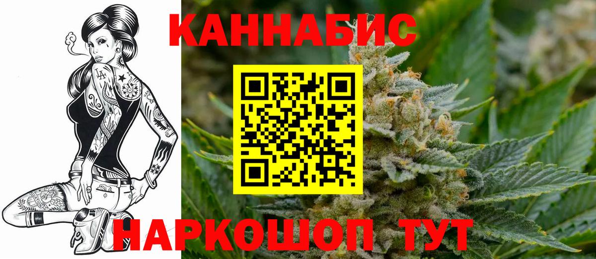 Каннабис MAZAR Губкинский